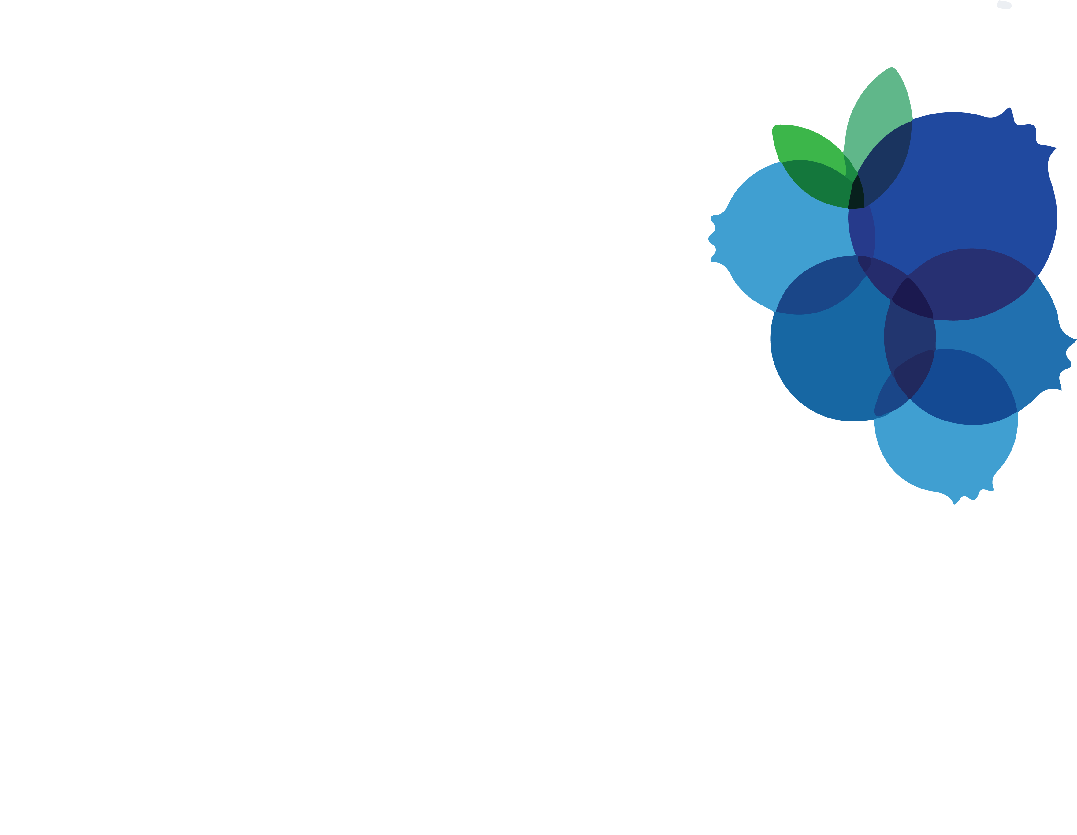BlueBerries Marketing